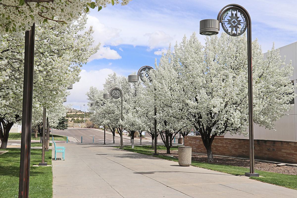 The medallion walkway next to the educational services building